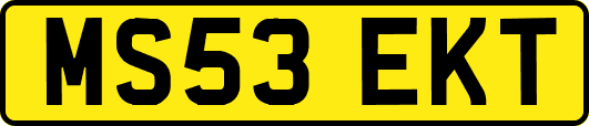 MS53EKT