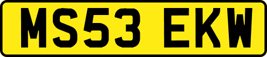 MS53EKW