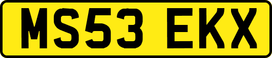 MS53EKX