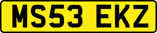 MS53EKZ