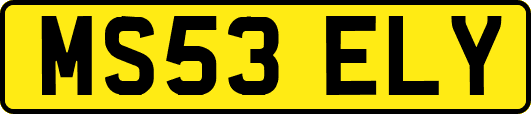 MS53ELY