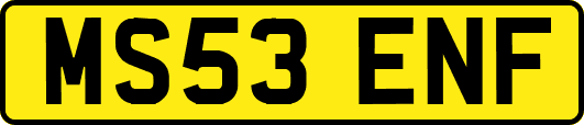 MS53ENF