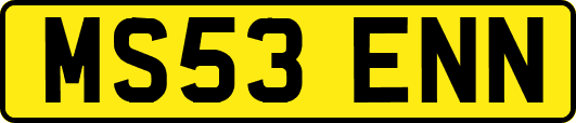 MS53ENN