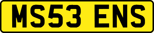 MS53ENS