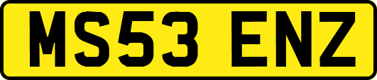 MS53ENZ