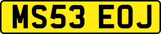 MS53EOJ
