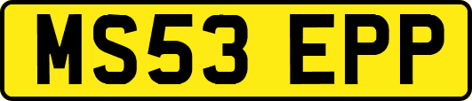 MS53EPP
