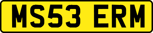MS53ERM