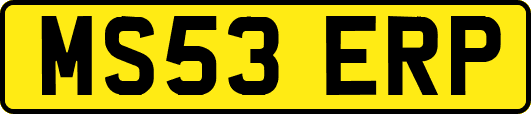 MS53ERP