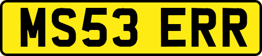 MS53ERR