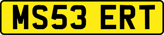 MS53ERT
