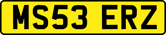 MS53ERZ