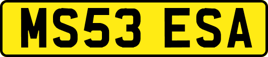 MS53ESA