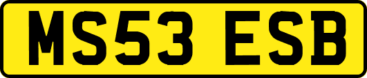 MS53ESB