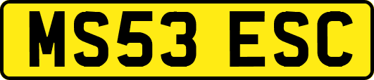 MS53ESC