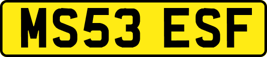 MS53ESF