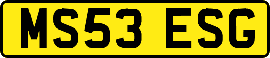 MS53ESG