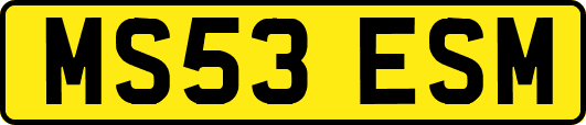 MS53ESM