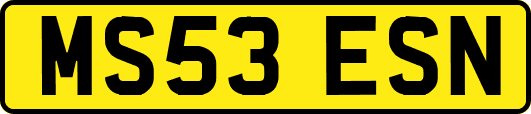 MS53ESN