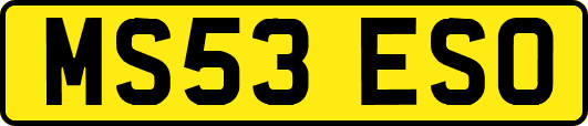MS53ESO