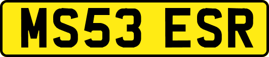 MS53ESR
