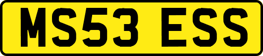 MS53ESS