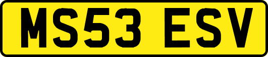 MS53ESV