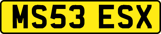 MS53ESX