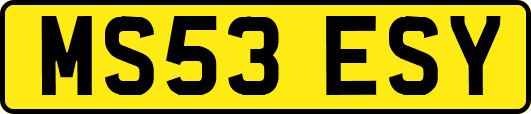 MS53ESY