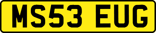 MS53EUG