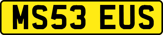 MS53EUS