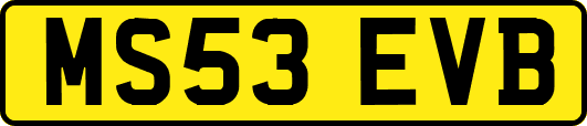 MS53EVB