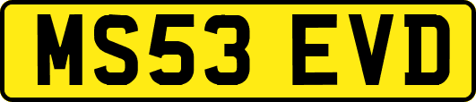 MS53EVD