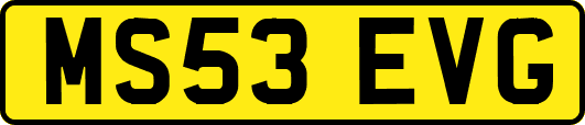 MS53EVG