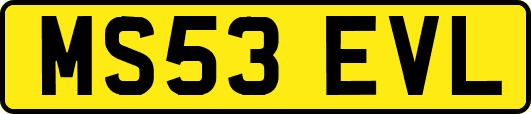 MS53EVL