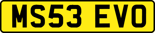 MS53EVO
