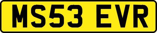 MS53EVR