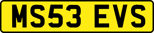 MS53EVS