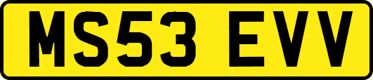 MS53EVV