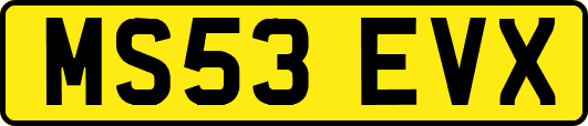 MS53EVX