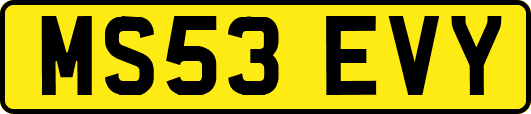 MS53EVY