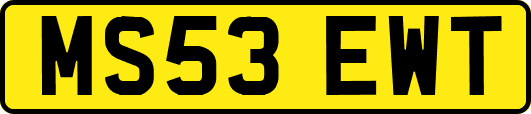 MS53EWT