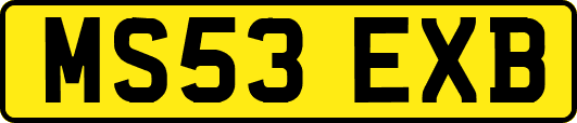 MS53EXB