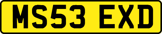 MS53EXD