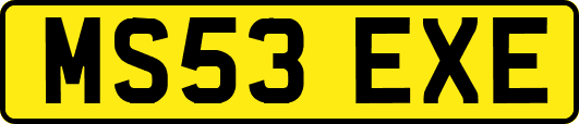 MS53EXE