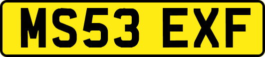 MS53EXF