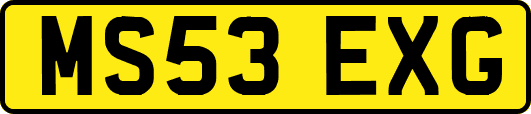MS53EXG