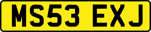 MS53EXJ