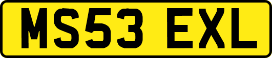 MS53EXL