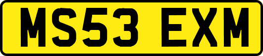 MS53EXM